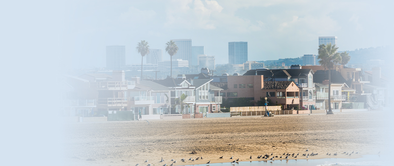 Beach houses with a hazy city skyline in the background.